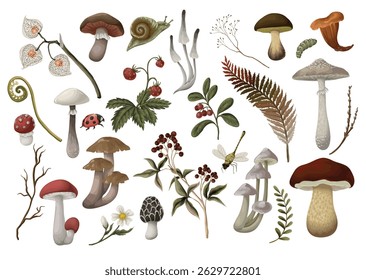 Mushrooms, berries, plants and leaves isolated. Vector.