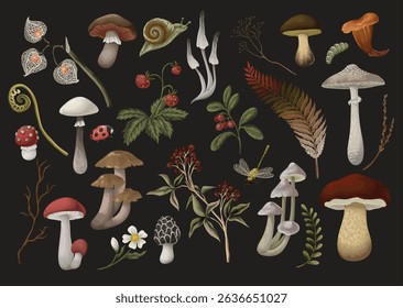 Mushrooms, berries, plants and leaves isolated. Vector.