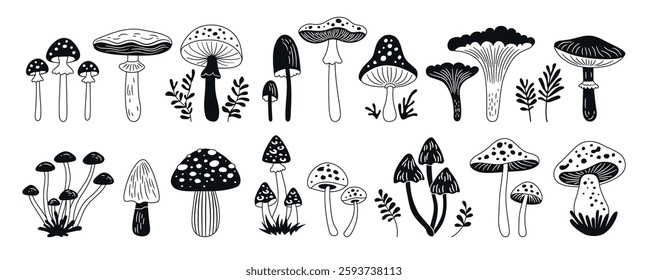 Mushrooms black and white drawn set. Poisonous and edible various doodle mushrooms vector isolated Illustration. Boletus, chanterelle, porcini Amanita Muscaria, agaric cartoon mushrooms glyph art