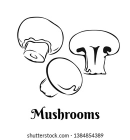 Mushrooms black white icon. Vector champignon outline illustration. Monochrome image of fresh vegetable.