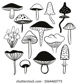 mushrooms, black and white illustrations