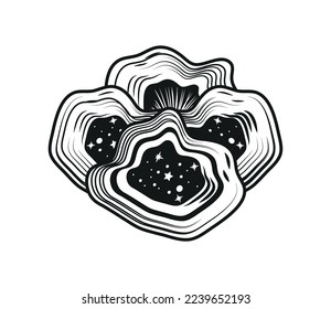 mushrooms boho mystic icon isolated