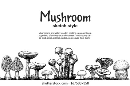 Mushrooms border, hand drawn sketch collection. Mushroom drawing vector seamless border. Isolated food frame sketch. Champignon, morel, porcini, oyster, chanterelle. For menu, label, product packaging