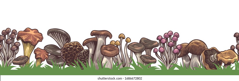 Mushrooms border. Seamless colorful sketch various mushroom in forest horizontal pattern, drawing vegetarian product vintage vector agaric frame