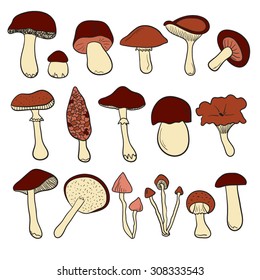 Mushrooms brown