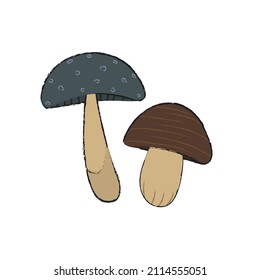Mushrooms brown and blue hand drawn. Isolated elements for decor, children's books, games, stationery, fabrics, wrappers. Vector illustration.
