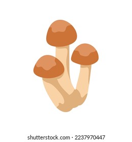 Mushrooms with brown hats for worksheet vector illustration. Drawing of mushroom for learning about forest, math activity or counting game for children. Autumn or fall, education concept