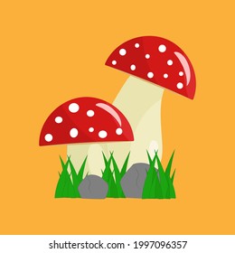 Mushrooms in the bushes on an orange background and lying next to stones.