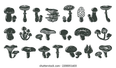 Mushrooms cartoon silhouette, autumn forest plants. Champignon, shiitake, chanterelle and king oyster outlines flat vector illustration set. Black mushrooms collection