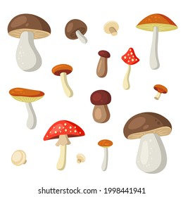 Mushrooms Cartoon Style Set on White Background. Vector