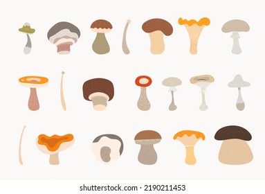 mushrooms cartoons vector illustration  set 