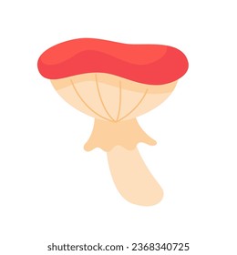 Mushrooms caused by fungi Harvest season at Thanksgiving