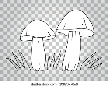 Mushrooms. Cep. Boletus. Vector outline hand-drawn doodle illustration.