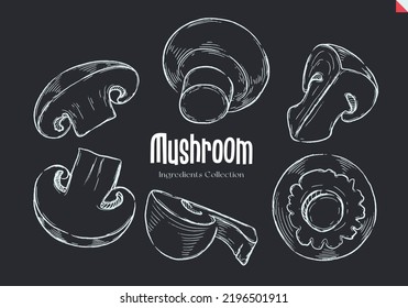Mushrooms, Chalk sketches, Ingredient Collection