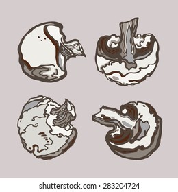 mushrooms champignon