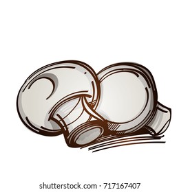Mushrooms champignon color illustration for menu design, packaging, for creating a logo or emblem.