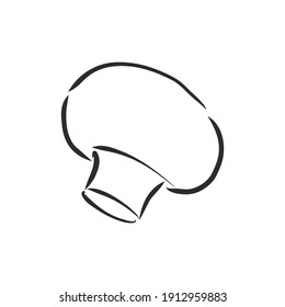 Champignon de champiñones. Verduras extraídas a mano por vectores aisladas de fondo blanco. ilustración de boceto de vector