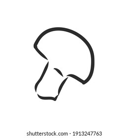 Mushrooms Champignon. Vector hand drawn vegetables isolated on white background. champignon, vector sketch illustration