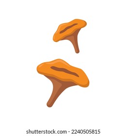 Mushrooms or chanterelles enriched with vitamin D vector illustration. Source of vitamin D, mushroom isolated on white background. Nutrition, health, diet concept