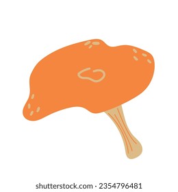 Mushrooms or chanterelles vector illustration. Autumn harvest, mushroom isolated on white background. Nutrition, health, diet concept. Cozy autumn concept, illustration in flat style.