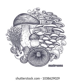 Pilze im Kreis. Vorlage für Schild, Plakat, Abdeckung. Bolete, Portobello, Shimeji, Champignon, Austernpilze, Enoki. Schwarz, weiß. Vektor-Vektorgrafik-Vintage-Gravur