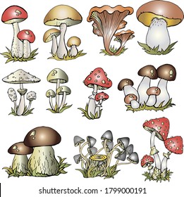 Mushrooms Clip art, Forest Clip Art, Autumn, Fall, Fairy tale, Harvest, Woodland, Thanksgiving, Graphic Elements, Greetings, Wreath