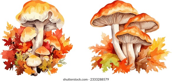 Mushrooms clipart, isolated vector illustration.