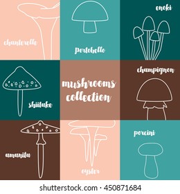 Mushrooms collection. The outlines of mushrooms on the background of colored squares. Fashionable design. Russula, amanita, wild mushrooms and other fungi on a colored background. Vector illustration