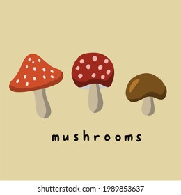 Mushrooms Collection Set. Social Media Post. Vector Illustration.