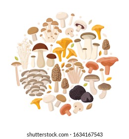 Mushrooms collection of vector flat illustrations isolated on white in round. Cep, chanterelle, honey agaric, enoki, morel, oyster mushrooms, King oyster, shimeji, champignon, shiitake, black truffle