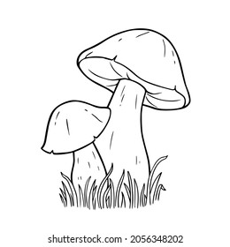 Mushrooms. For coloring book pages. Outline drawing