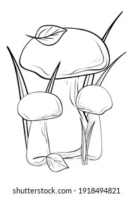 Mushrooms. Coloring, clip art, line art. Vector isolated illustration.