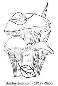 Mushrooms. Coloring, clip art, line art. Vector isolated illustration.