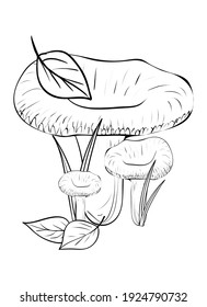 Mushrooms. Coloring, clip art, line art. Vector isolated illustration.