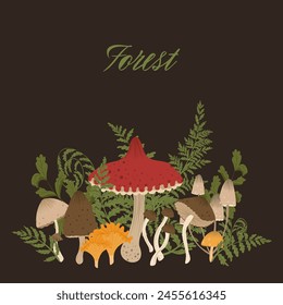 Pilzzusammensetzung. Satz von Herbstpilzen mit Farnblättern, Gras, Amanita, Morchel, Chantarelle, Honig Agarisch. Herbstpilze für Aufkleber, Logo, Kinderbuch, Druck. Isoliertes Vektorgrafik-Element.