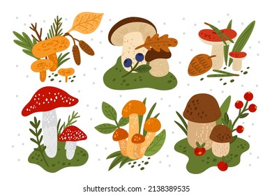 Mushrooms compositions. Forest fungi with plants. Berries and leaves on russula cap. Woodland porcini. Fly agaric and honeydew. Edible and poisonous. Vector autumn