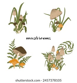 Mushrooms compositions. Set of autumn mushrooms with fern leaves, grass. Fall mushrooms for sticker, logo, children book, print. Isolated vector element. White background.