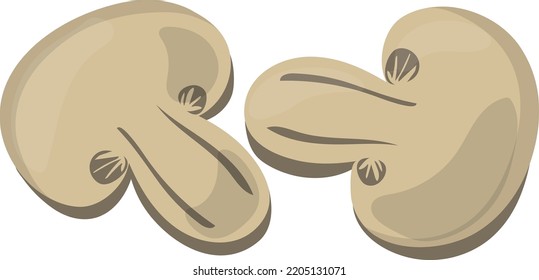 Mushrooms cutted and sliced cartoon icon. Tasty cooking ingredients