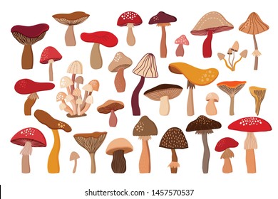 Mushrooms decorative collection with 30 hand drawn different elements isolated on white background