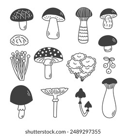 Mushrooms Doodle Set. Hand drawn Forest Fungus collection.  Cep Boletus Amanita Fly Agaric Oyster Champignon Matsutake Eringi Enoki Hand drawn icons. Vector illustration