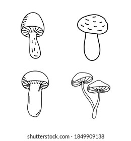 Mushrooms. Doodle vector illustration. Single hand drawn element isolated on white background. For greeting cards, posters, stickers and seasonal designs.