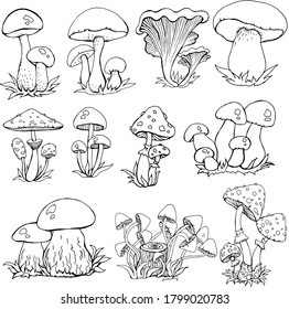 57,031 Doodle mushrooms Images, Stock Photos & Vectors | Shutterstock