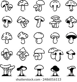 Mushrooms Drawings Vector Illustrations Bundle