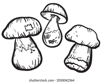 Mushrooms drawn with a black outline in the doodle style. Mushroom icons, autumn mushrooms. Black and white vector illustration. Autumn decoration.