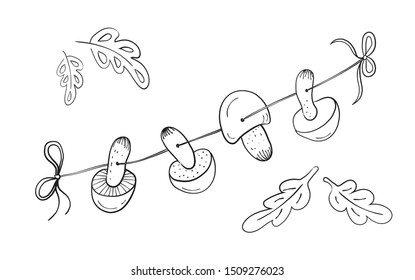 Mushrooms to dry on a rope. Black and white drawing in cartoon style.
