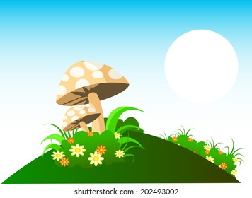 Mushrooms and Ecosystems