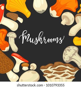 Mushrooms edible mushrooming poster. Vector flat champignon and boletus or forest chanterelle and lobster mushroom