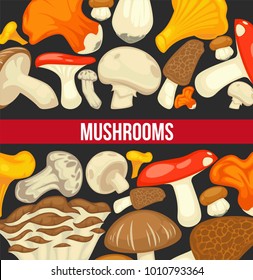 Mushrooms edible mushrooming poster. Vector flat champignon and boletus or forest chanterelle and lobster mushroom