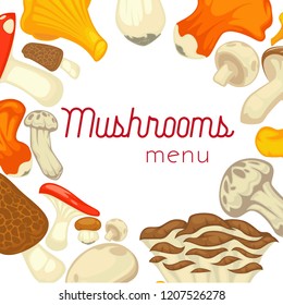 Mushrooms edible mushrooming poster. Vector flat champignon and boletus or forest chanterelle and lobster mushroom