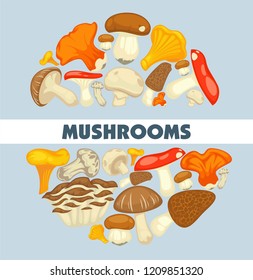 Mushrooms edible mushrooming poster. Vector flat champignon and boletus or forest chanterelle and lobster mushroom